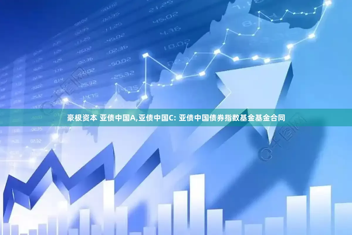 豪极资本 亚债中国A,亚债中国C: 亚债中国债券指数基金基金合同