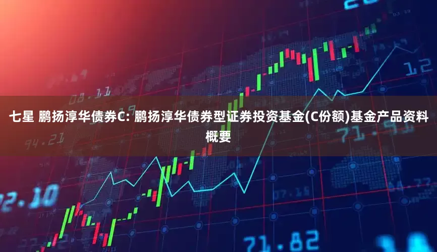 七星 鹏扬淳华债券C: 鹏扬淳华债券型证券投资基金(C份额)基金产品资料概要