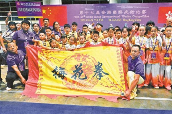 忆融速配 宝安梅花拳国际赛场夺金