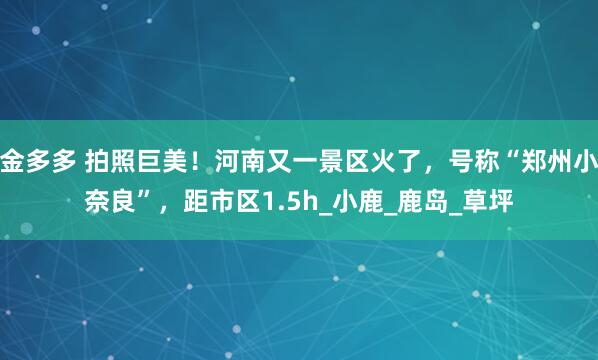 金多多 拍照巨美！河南又一景区火了，号称“郑州小奈良”，距市区1.5h_小鹿_鹿岛_草坪