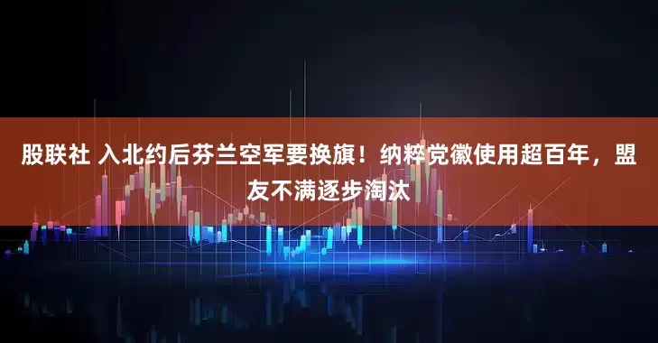 股联社 入北约后芬兰空军要换旗！纳粹党徽使用超百年，盟友不满逐步淘汰